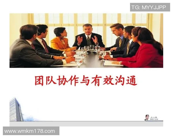 上海排球队的意识与团队协作探讨：提升竞技水平的新视角