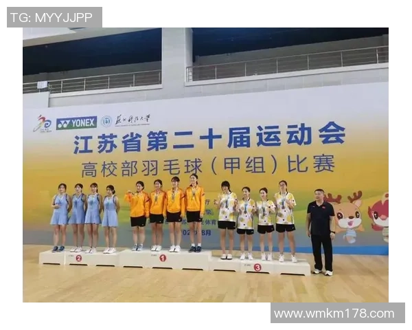 南京羽毛球队个人能力分析与表现评估研究报告